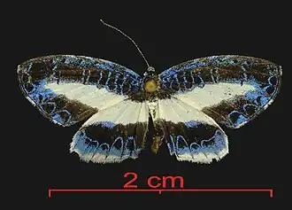 Description de cette image, également commentée ci-après