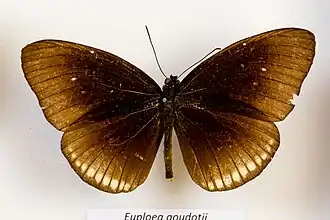 Description de l'image OBER-EXPO-036.jpg.