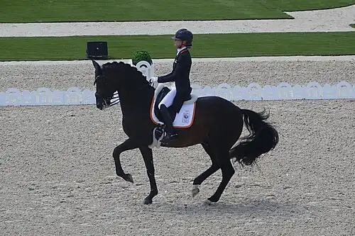 Dinja van Liere sur Hermes lors des Jeux olympiques d'été de 2024 à Versailles.