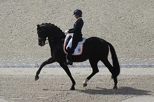 Jeux olympique de Paris 2024.