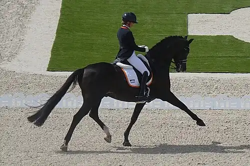 Emmelie Scholtens aux Jeux olympiques d'été de 2024 à Versailles sur Indian Rock.