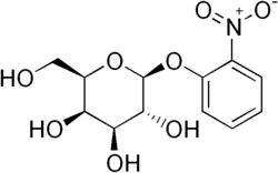 Image illustrative de l’article Ortho-nitrophényl-β-galactoside