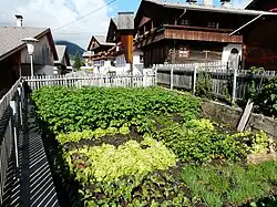 Potager du Tyrol (Autriche).