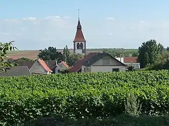 Obrigheim (Rhénanie-Palatinat)