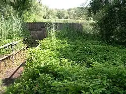 Observatoire dans la RNR de l'Etang de Haute-Jarrie