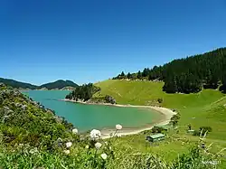 Photographie d'une baie entourée de pentes partiellement déboisées surmontées de forêts de conifères.