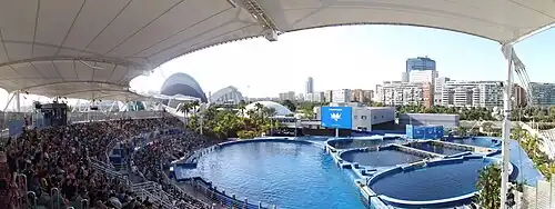 Le delphinarium de l'Oceanogràfic.