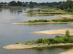 Épis de rivière en pierre sur l'Oder.