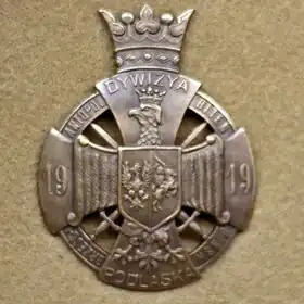 Image illustrative de l’article 9e division d'infanterie (Pologne)