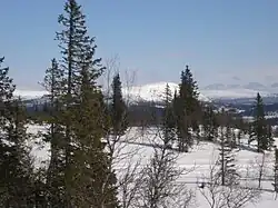 Oldfjällen en hiver