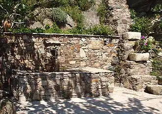 Fontaine Dr Allegrini.