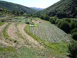 La photographie en couleur montre un mas, hameau cévenol, vu depuis l'autre versant de la montagne. Au-dessous des maisons cévenoles et leurs dépendances accrochées à la montagne, des terrasses en mauvais état sont en herbe, vestiges d'une agriculture ancienne.