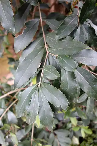 Description de cette image, également commentée ci-après