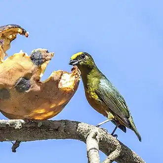 Description de cette image, également commentée ci-après