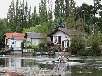 Aviron à Cotelle, Olivet.