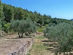 Luberon (France)