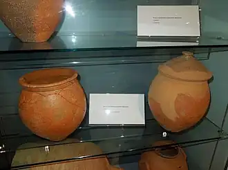Des jarres cinéraires.