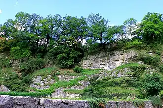 Image illustrative de l’article Saint-Triphon et Charpigny