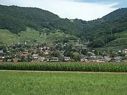 Ollon sur son cône de déjection vu de la plaine du Rhône.