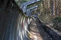 Photo d'une piste en béton avec des graffitis dans une forêt.