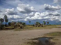 Paysage dans la région d'Omusati