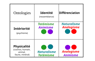 représentation graphique des 4 ontologies