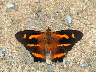 Description de cette image, également commentée ci-après