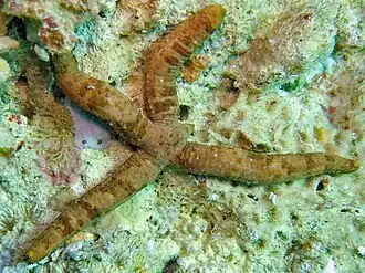 Description de cette image, également commentée ci-après