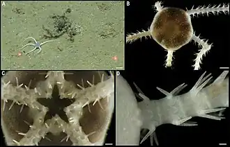 Description de cette image, également commentée ci-après