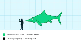 Ophthalmosaurus comparé à un humain.