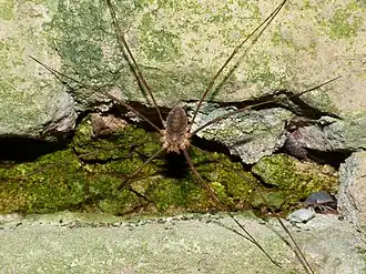 Description de cette image, également commentée ci-après