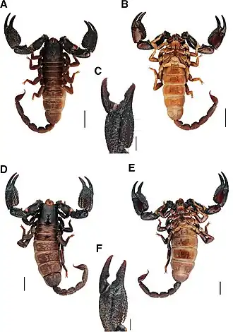Description de cette image, également commentée ci-après