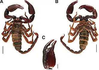 Description de cette image, également commentée ci-après