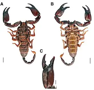 Description de cette image, également commentée ci-après