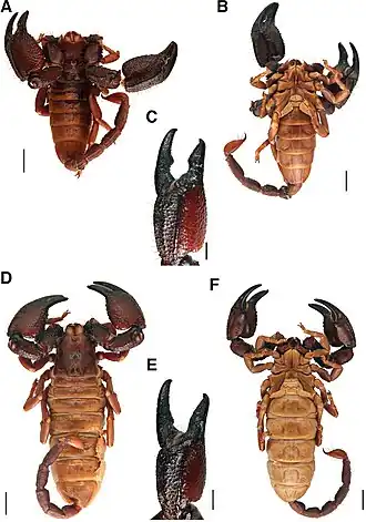 Description de cette image, également commentée ci-après