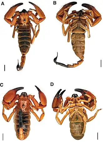Description de cette image, également commentée ci-après