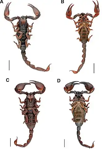 Description de cette image, également commentée ci-après