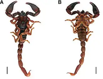 Description de cette image, également commentée ci-après