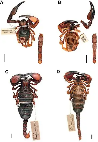 Description de cette image, également commentée ci-après
