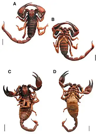 Description de cette image, également commentée ci-après