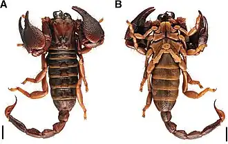 Description de cette image, également commentée ci-après