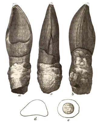 Description de cette image, également commentée ci-après
