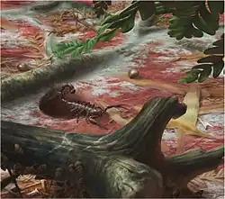 Reconstitution d’Opsieobuthus tungeri dans son environnement