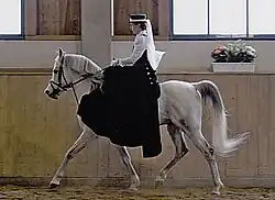 Cavalière en amazone sur un cheval gris vu de profil.