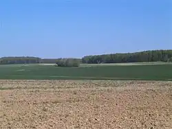 Photographie en couleurs de grandes parcelles agricoles avec une forêt en arrière-plan.