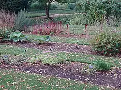 Photographie de plates-bandes du jardin botanique d'Oxford