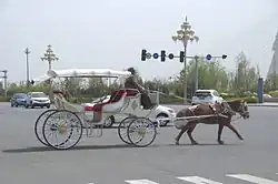 Un petit cheval roux peine à tirer une calèche blanche énorme pour lui.