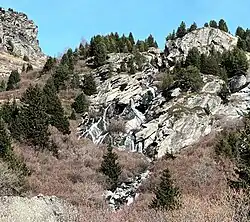 Photographie d'une cascade qui coule et qui est forestière ; il y a plusieurs barres rocheuses claires dans ce cours d'eau.