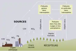 alternative à l'image