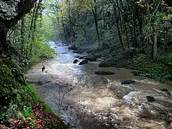 Le ravin du Puits-Noir.